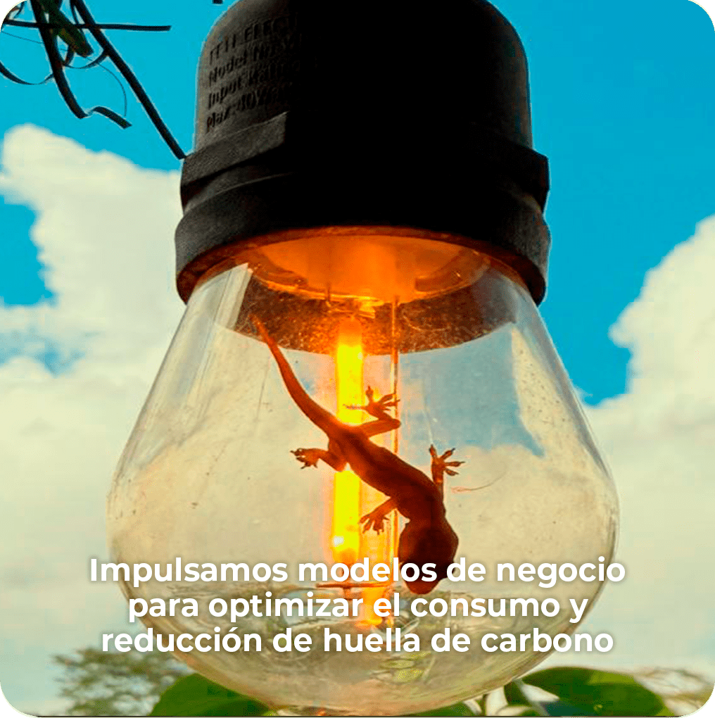 Modelos de negocio para optimizar CO2