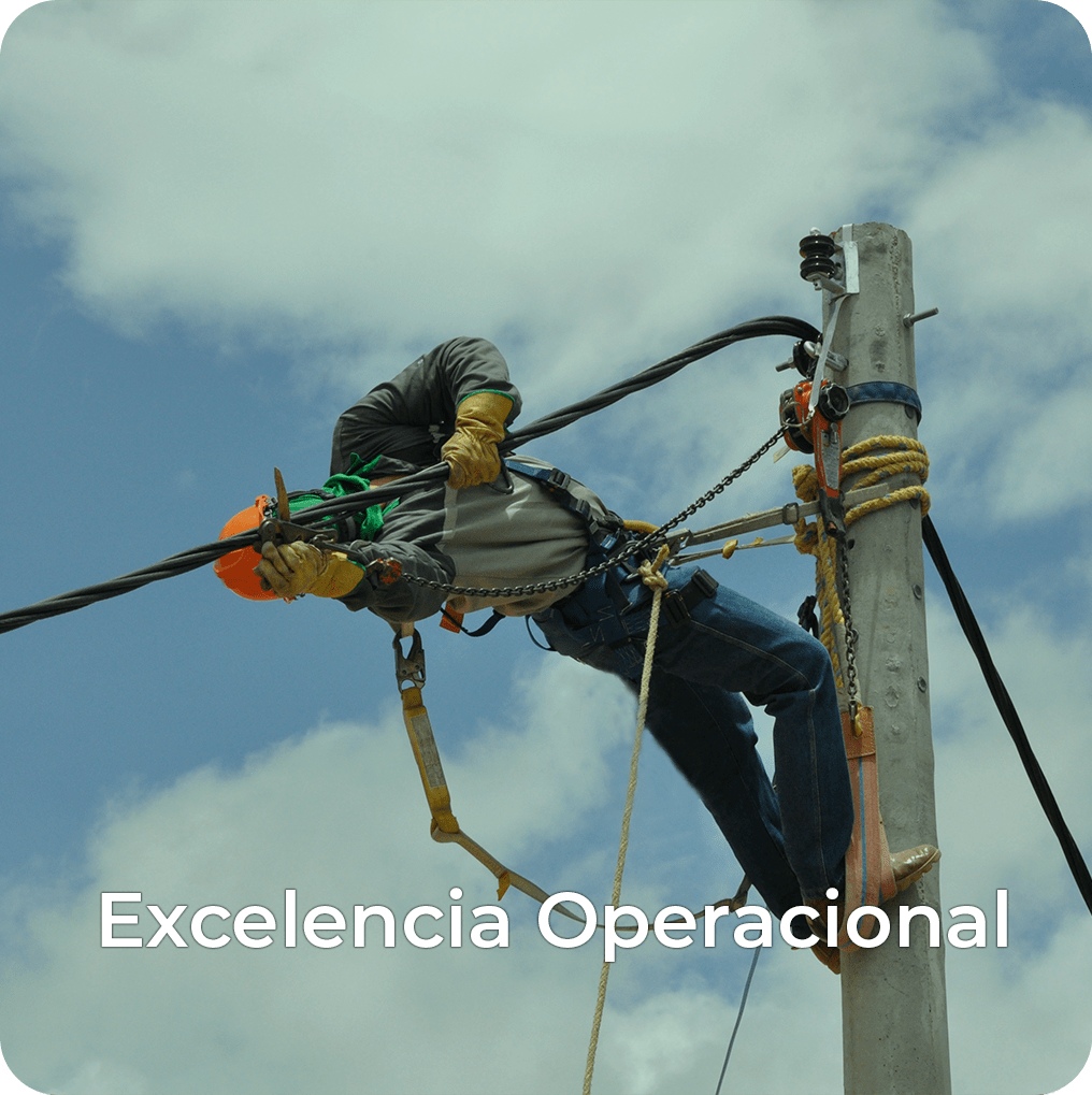 Excelencia Operacional
